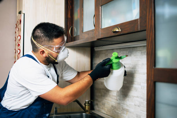 Best Mosquito Control Services  in Hampton, TN