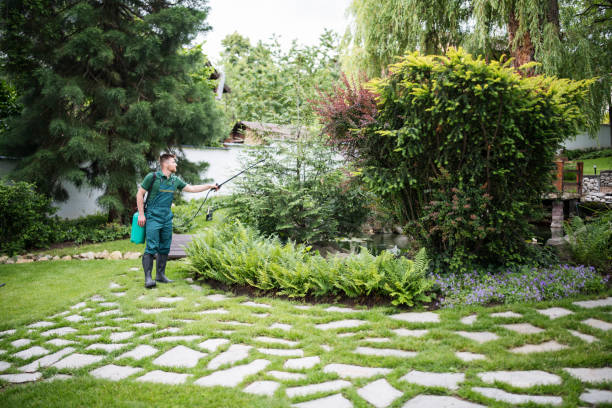 Best Affordable Pest Control Services  in Hampton, TN