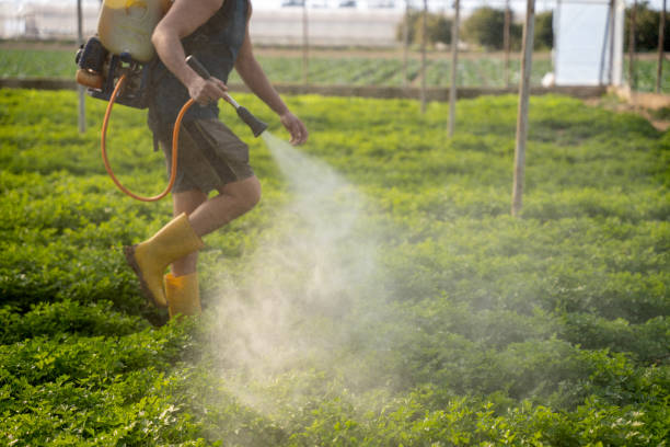 Best Ant Control Services  in Hampton, TN