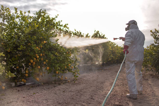 Best Pest Control Near Me in Hampton, TN