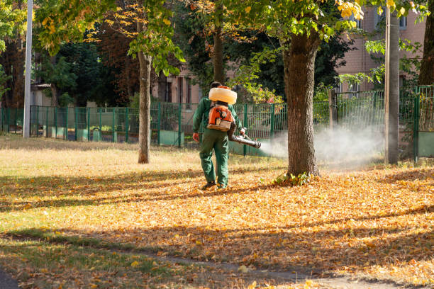 Best Exterminator Services  in Hampton, TN