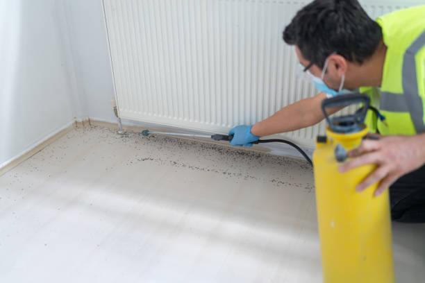 Best Pest Control for Homes  in Hampton, TN
