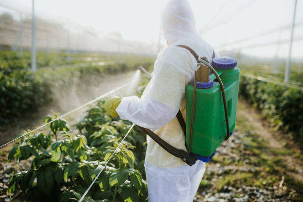 Best Flea Control Services  in Hampton, TN